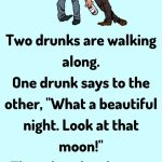 Two drunks are walking along