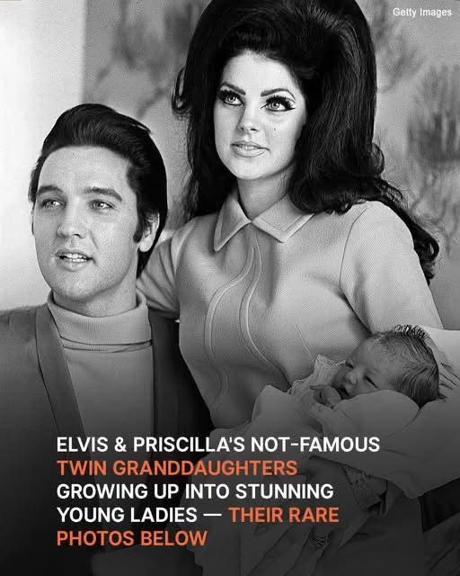 Priscilla Presley’s Teen ….