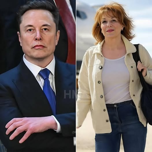 Elon Musk Fires Back!
